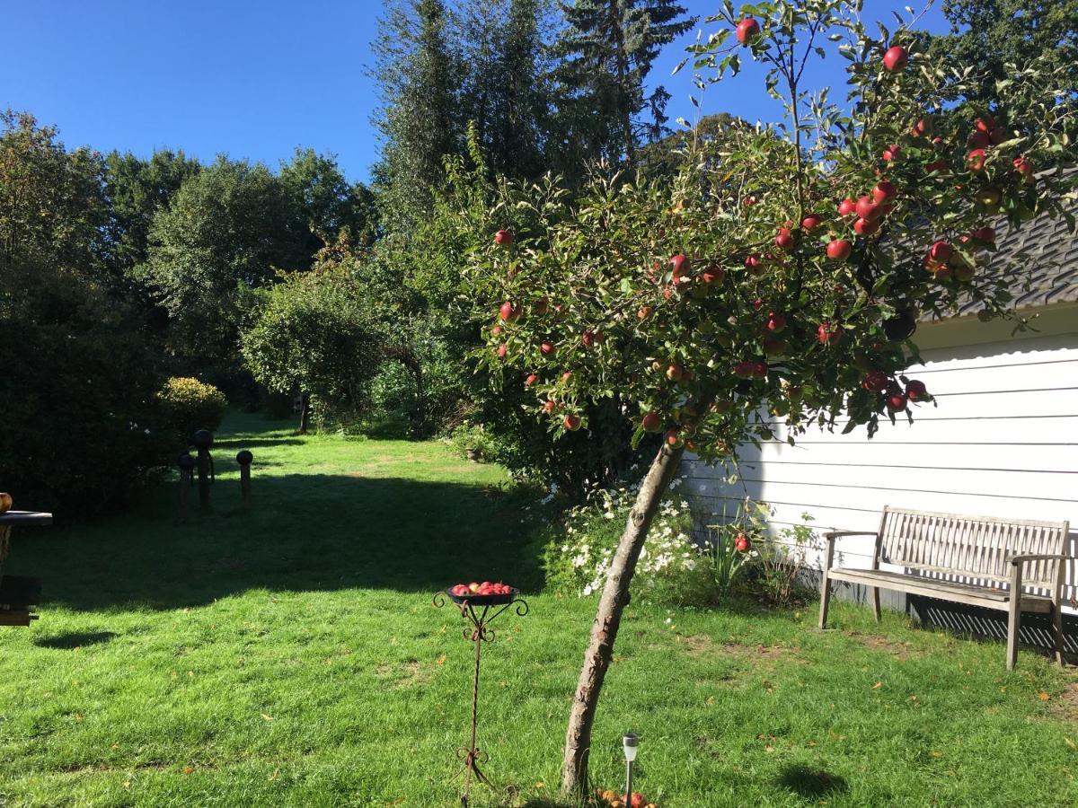 Natuurhuisje Heerlijkheid Beek Berg en Dal Exteriör bild